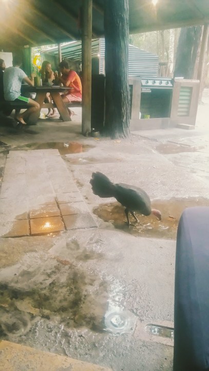 Processed with VSCO with f1 preset